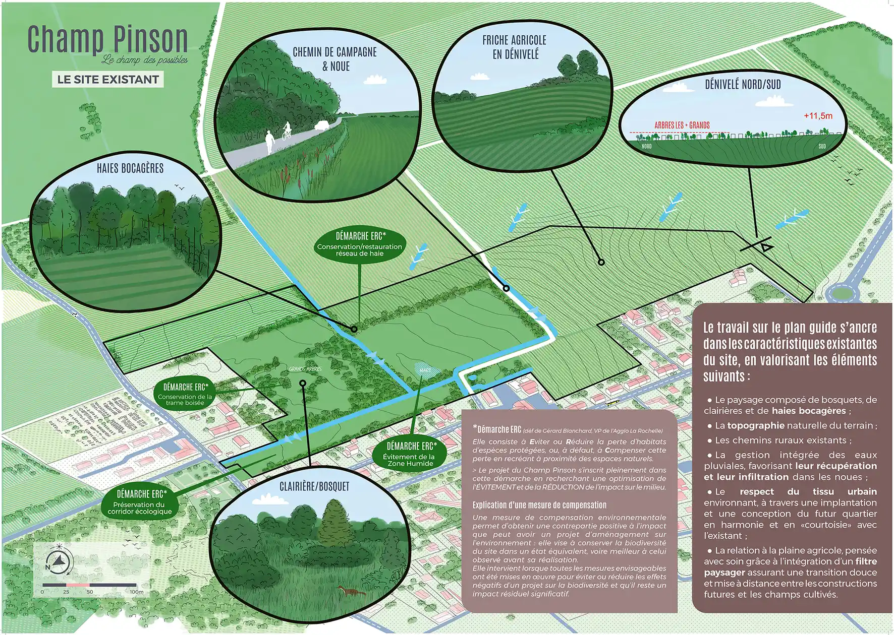 Visuel Champ Pinson 2025_Page_1